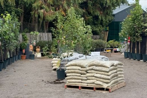 Trees & Shrubs