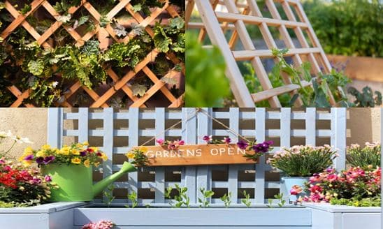 trellis collection